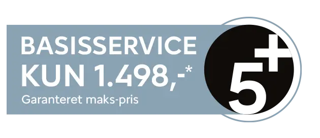 Basisservice 5+